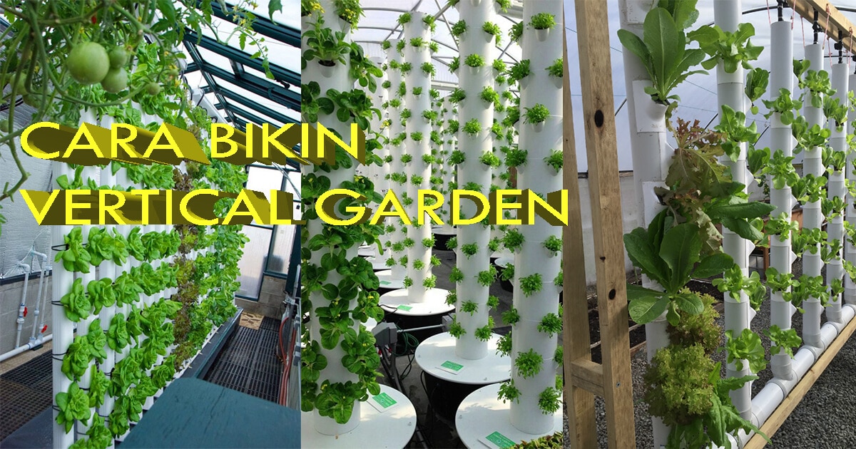 cara membuat vertical garden dari paralon